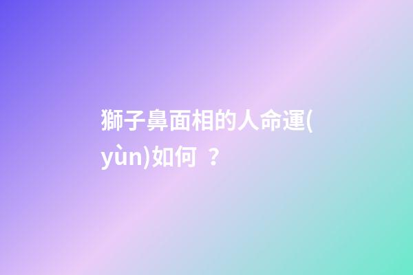 獅子鼻面相的人命運(yùn)如何？